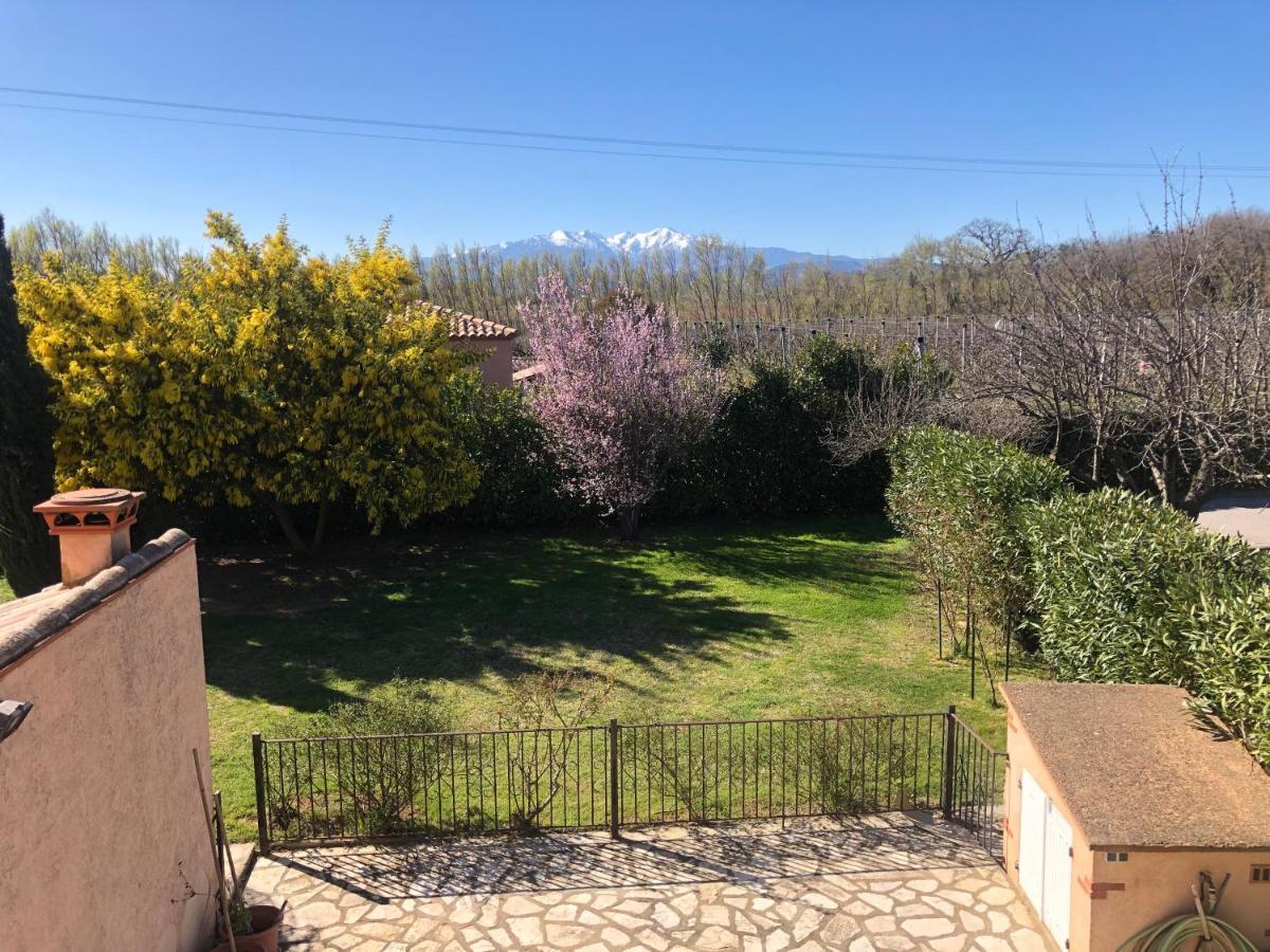 Au Mimosa -Gite Le Canigou Passa Exterior photo